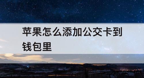 苹果怎么添加公交卡到钱包里