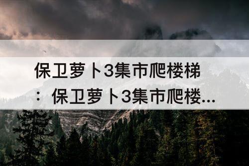 保卫萝卜3集市爬楼梯：保卫萝卜3集市爬楼梯1