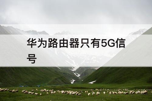 华为路由器只有5G信号