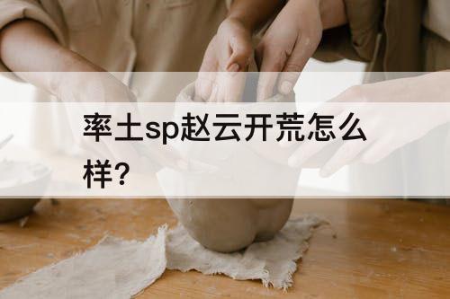率土sp赵云开荒怎么样?
