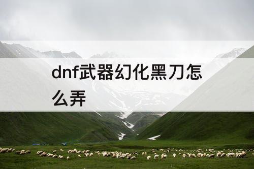 dnf武器幻化黑刀怎么弄