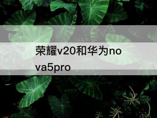 荣耀v20和华为nova5pro