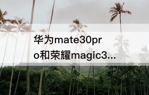 华为mate30pro和荣耀magic3至臻版哪个好