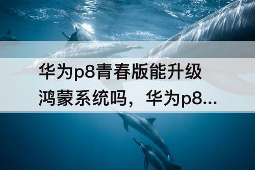 华为p8青春版能升级鸿蒙系统吗，华为p8青春版能升级鸿蒙系统吗?