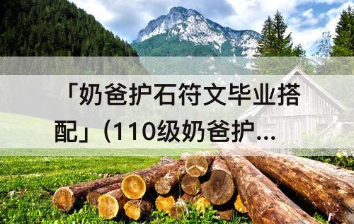 「奶爸护石符文毕业搭配」(110级奶爸护石符文毕业搭配)