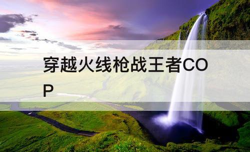 穿越火线枪战王者COP