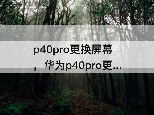 p40pro更换屏幕，华为p40pro更换屏幕视频