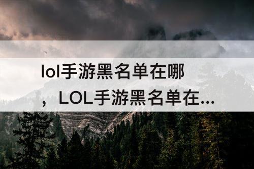 lol手游黑名单在哪，LOL手游黑名单在哪里