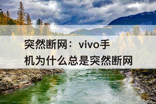 突然断网：vivo手机为什么总是突然断网