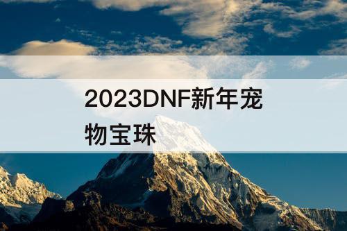2023DNF新年宠物宝珠