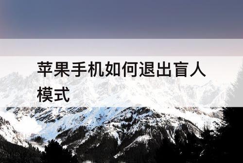 苹果手机如何退出盲人模式