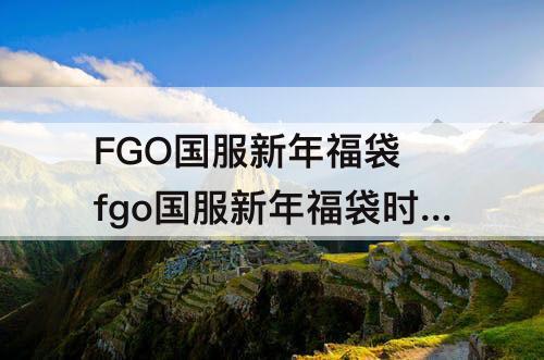 FGO国服新年福袋 fgo国服新年福袋时间
