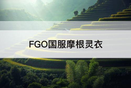 FGO国服摩根灵衣