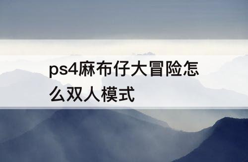 ps4麻布仔大冒险怎么双人模式