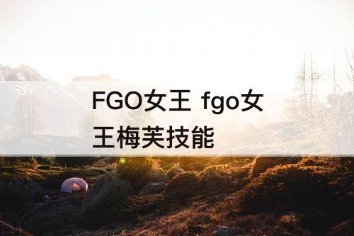 FGO女王 fgo女王梅芙技能