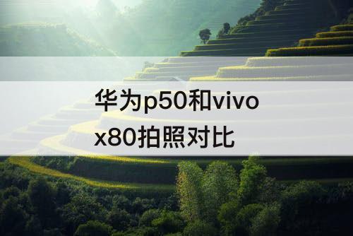 华为p50和vivox80拍照对比