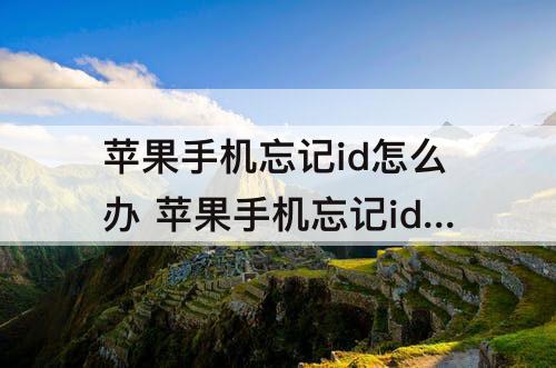 苹果手机忘记id怎么办 苹果手机忘记id怎么办 账号
