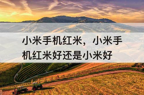 小米手机红米，小米手机红米好还是小米好