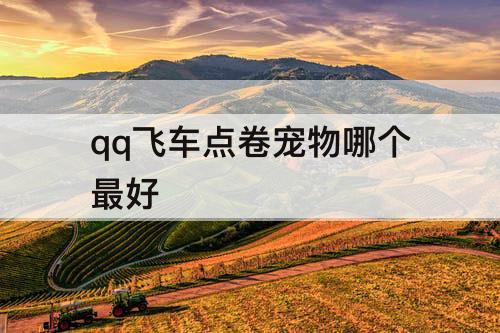 qq飞车点卷宠物哪个最好