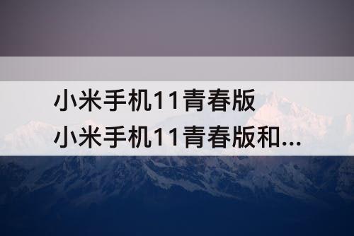 小米手机11青春版 小米手机11青春版和青春活力版
