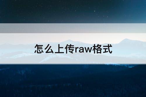 怎么上传raw格式