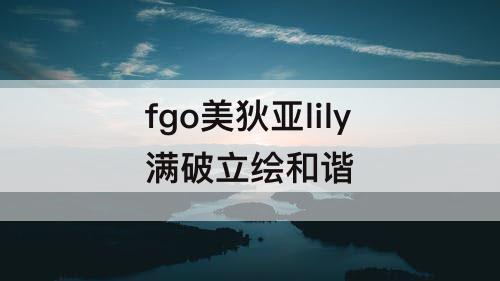 fgo美狄亚lily满破立绘和谐