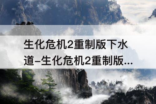 生化危机2重制版下水道-生化危机2重制版下水道棋子怎么排列