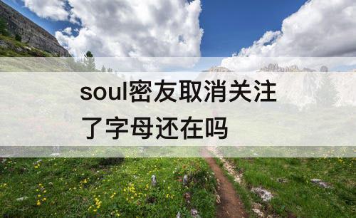 soul密友取消关注了字母还在吗