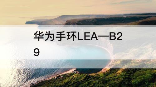 华为手环LEA—B29
