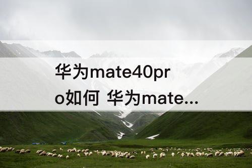 华为mate40pro如何 华为mate40pro如何扫描文件