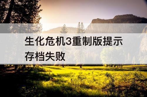 生化危机3重制版提示存档失败