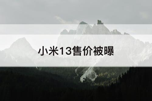 小米13售价被曝