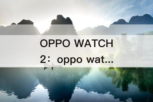 OPPO WATCH2：oppo watch2能看小说吗