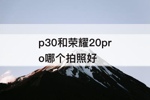 p30和荣耀20pro哪个拍照好