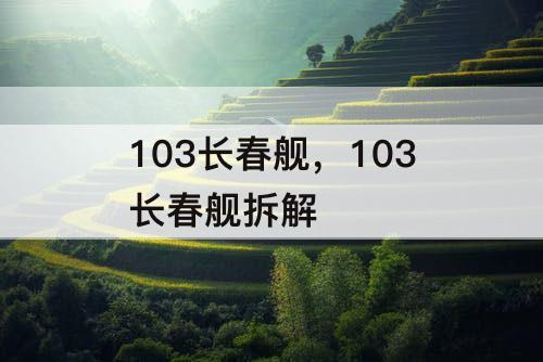 103长春舰，103长春舰拆解