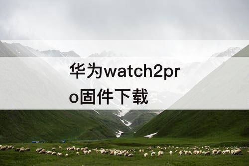 华为watch2pro固件下载