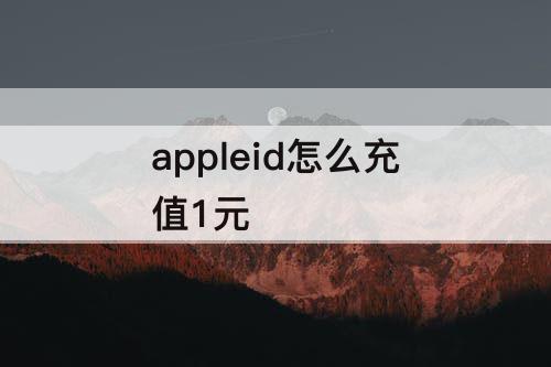 appleid怎么充值1元