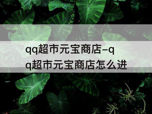 qq超市元宝商店-qq超市元宝商店怎么进