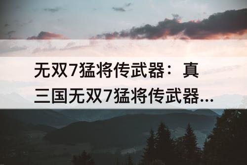 无双7猛将传武器：真三国无双7猛将传武器获得难度