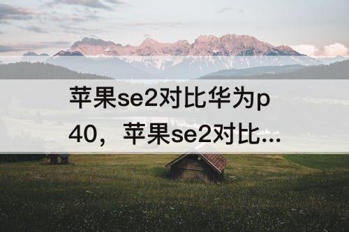 苹果se2对比华为p40，苹果se2对比华为p40pro