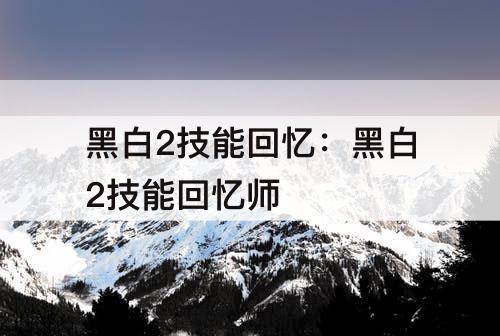 黑白2技能回忆：黑白2技能回忆师