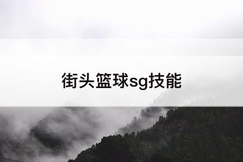街头篮球sg技能