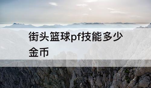 街头篮球pf技能多少金币