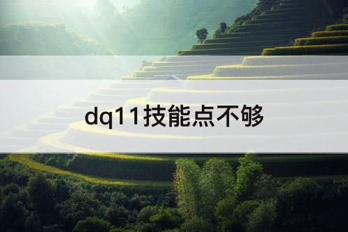 dq11技能点不够