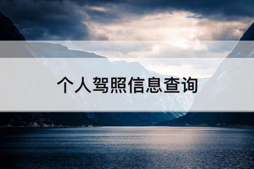 个人驾照信息查询