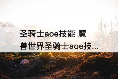 圣骑士aoe技能 魔兽世界圣骑士aoe技能