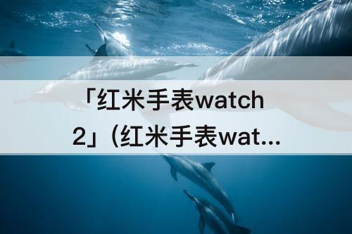 「红米手表watch2」(红米手表watch2表盘下载)