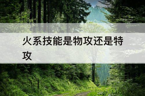 火系技能是物攻还是特攻