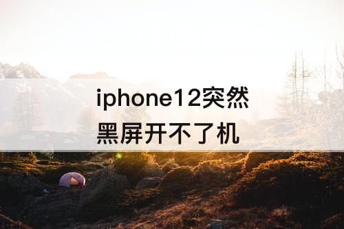 iphone12突然黑屏开不了机