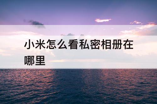小米怎么看私密相册在哪里
